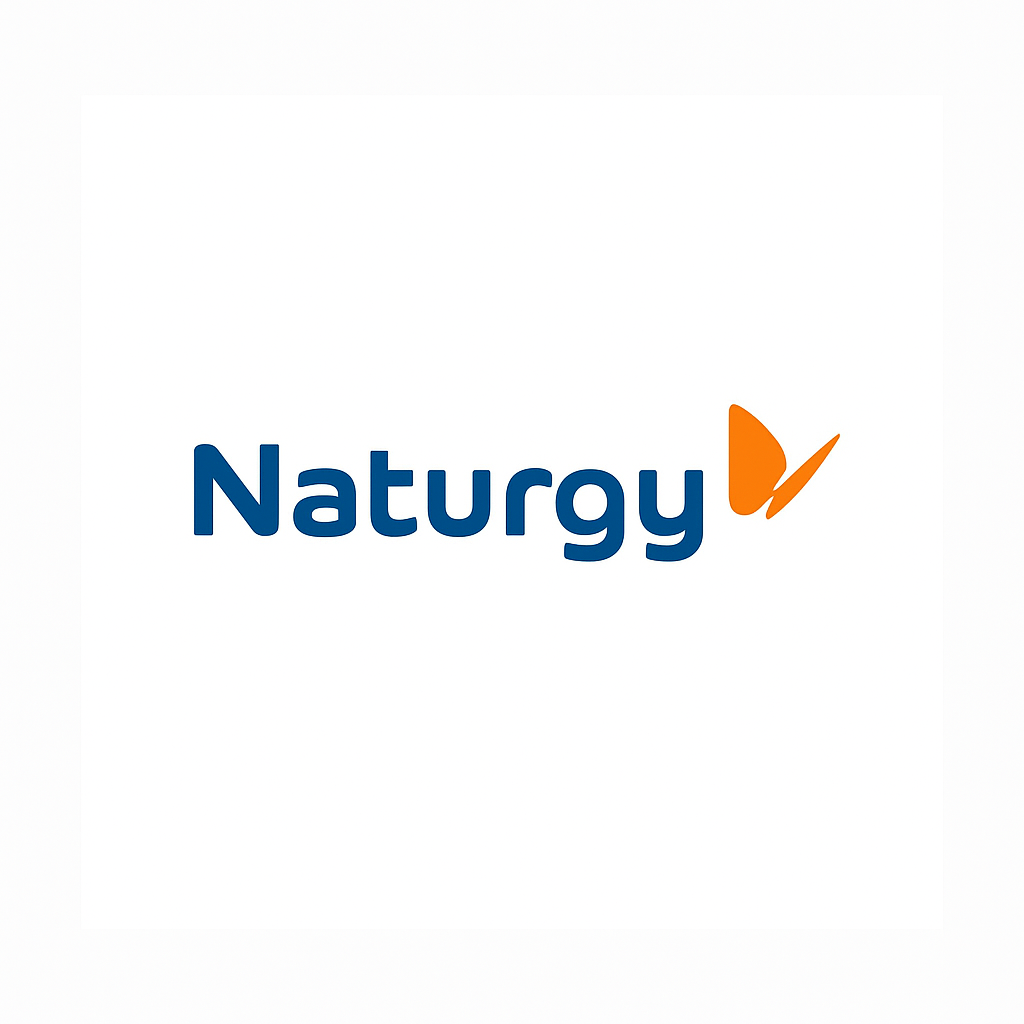 Proyecto Naturgy